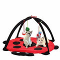 Interactive Cat Play Mat – Fun, Active & Engaging Toy 🐾