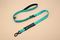 No-Pull Reflective Bungee Dog Leash | Shock-Absorbing Comfort & Control | Correa Antitirones Reflectiva con Bungee | Comodidad y Control con Absorción de Impacto