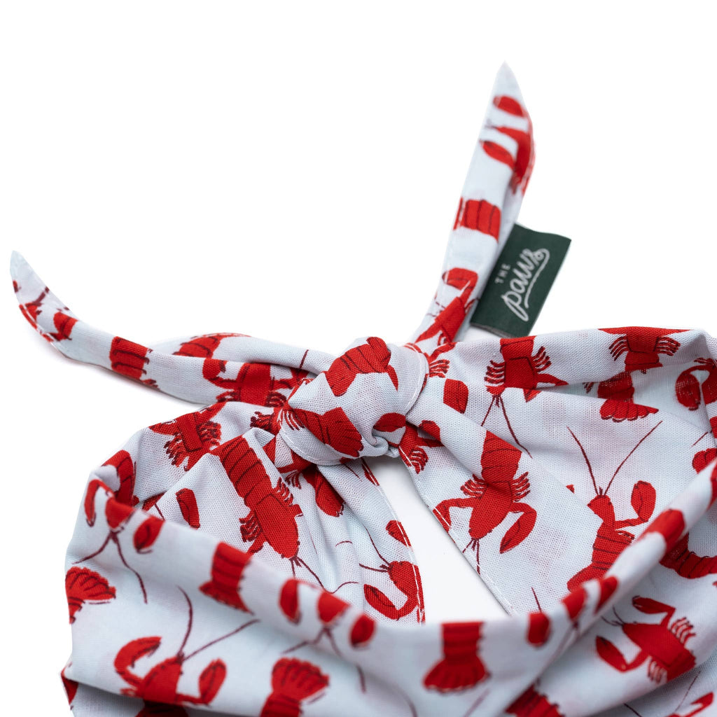 Coastal Lobster Dog Bandana 🦞 | Nautical Summer Pet Bandana