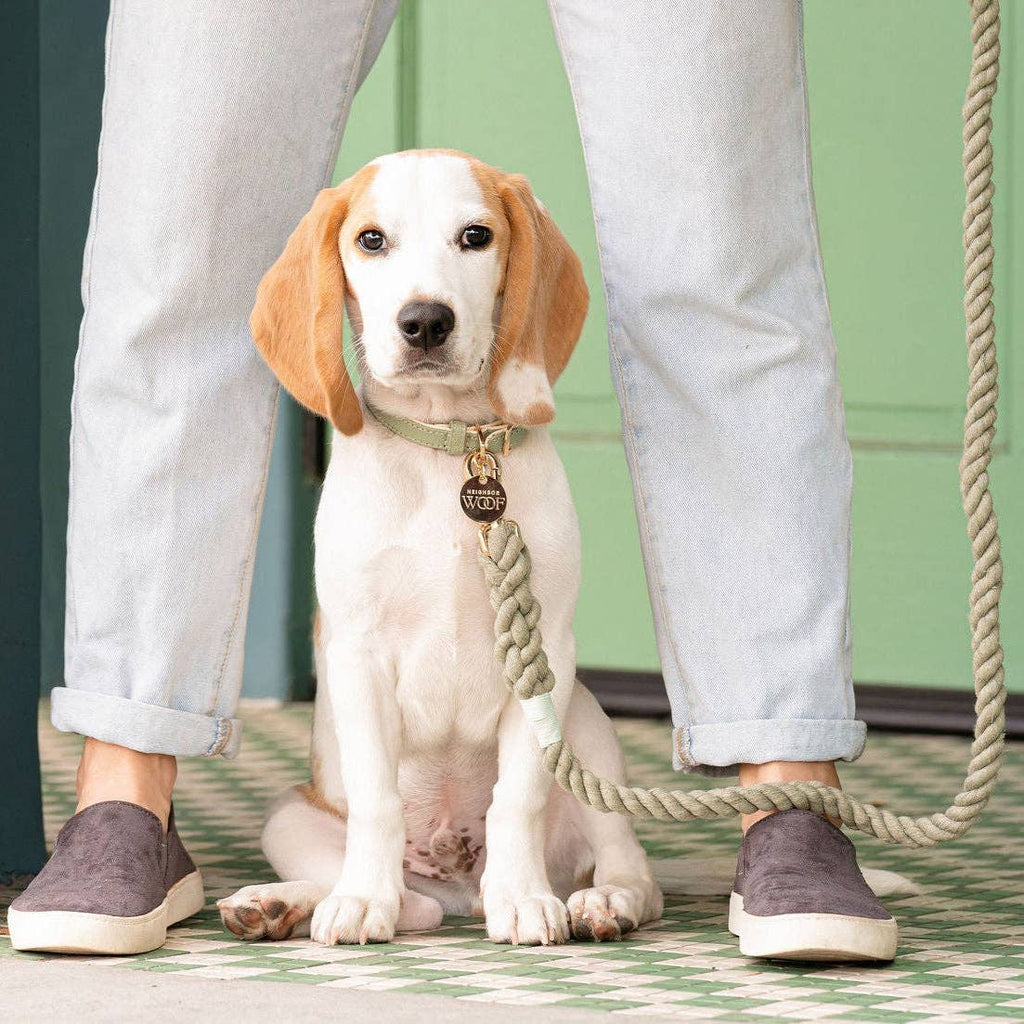 🐾 BOHIO YUKIYU™ Sage Luxe Leather Collar – Large
Botanical Signature Collection Crafted by our artisan partner