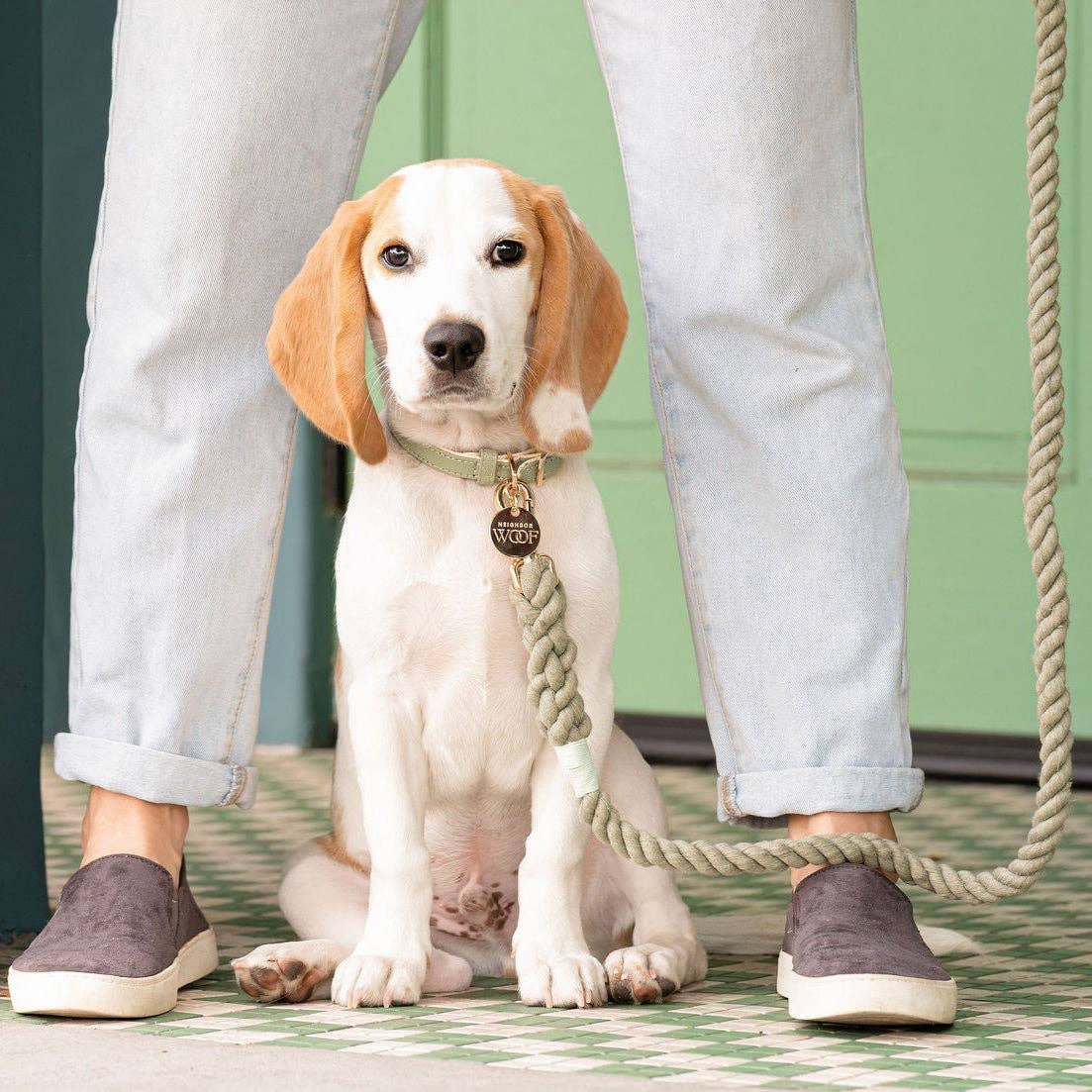 🐾 BOHIO YUKIYU™ Sage Luxe Leather Collar – Large
Botanical Signature Collection Crafted by our artisan partner