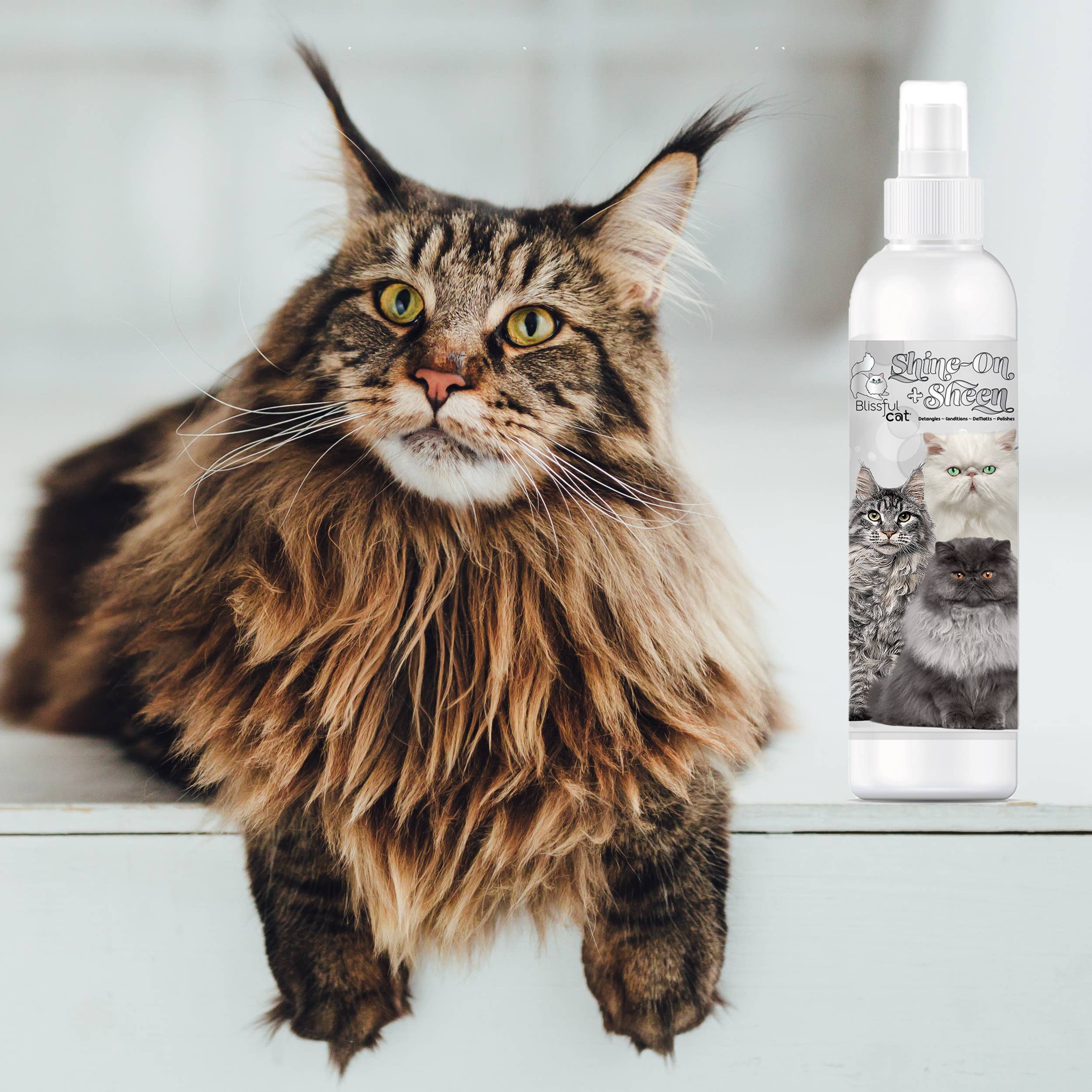 Cat Detangler Spray – Shine, Soften & Tangle-Free Coat (8 oz)