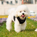 Bohio S,M,L- 🐕 Soft Comfort Dog Harness / Bohio S,M,L - Arnés Soft Comfort para Perros