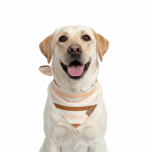 🐾 BOHIO YUKIYU™ Blush Garden Reversible Bandana – M, L
Soft Floral | Blush Caramel Stripe - Crafted by our artisan partner