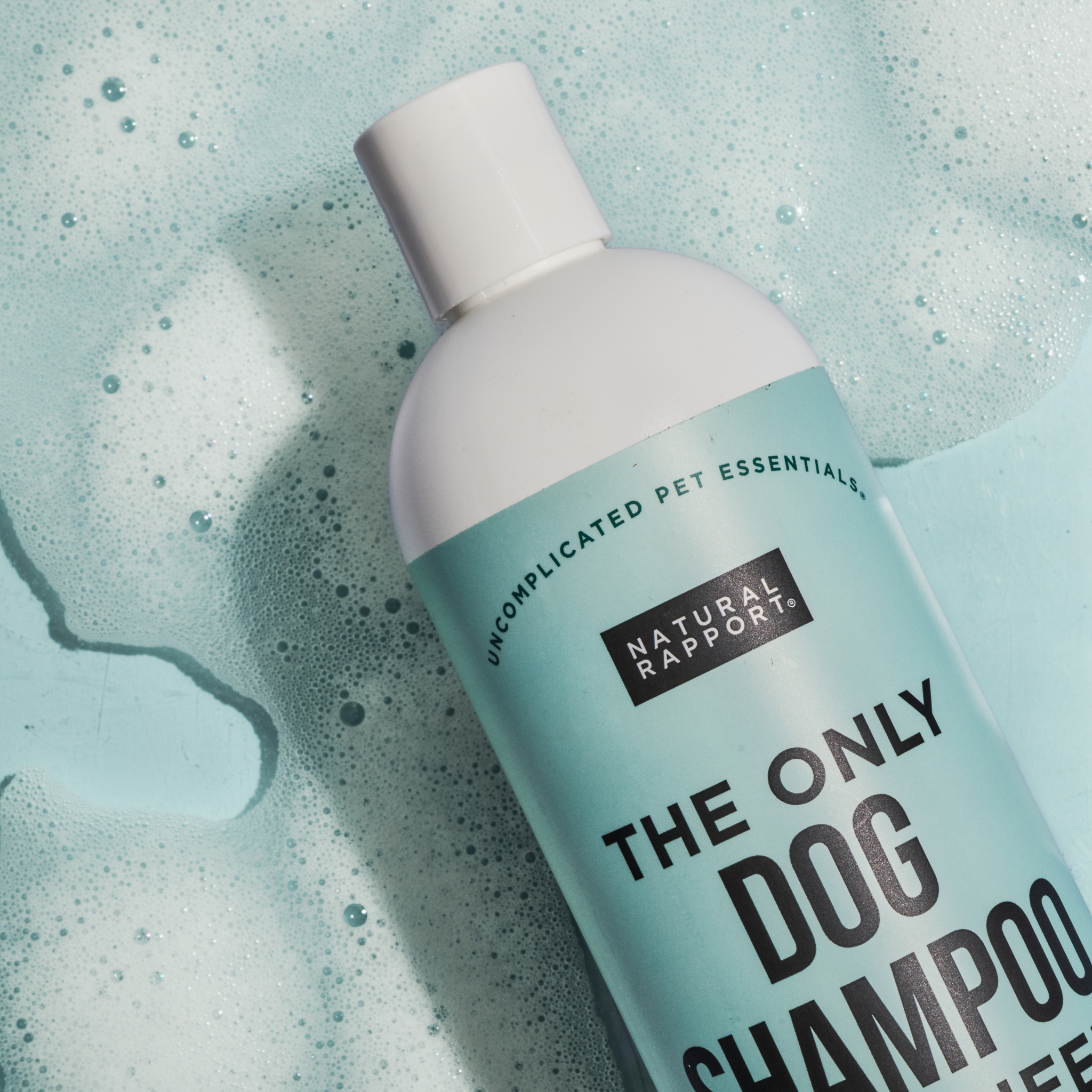 Daily Coat Care Shampoo – Gentle Cleansing (16 oz)/ Shampoo de Cuidado Diario para Pelaje – Limpieza Suave (16 oz)