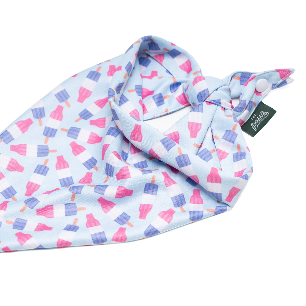 Ice Pop Cooling Dog Bandana 🍧❄️ | Summer Cooling Pet Bandana