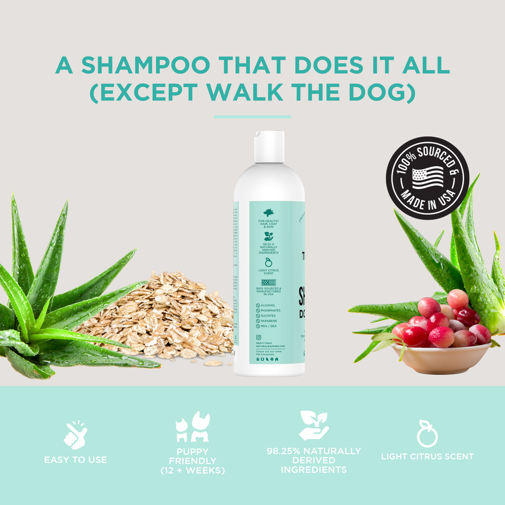 Daily Coat Care Shampoo – Gentle Cleansing (16 oz)/ Shampoo de Cuidado Diario para Pelaje – Limpieza Suave (16 oz)