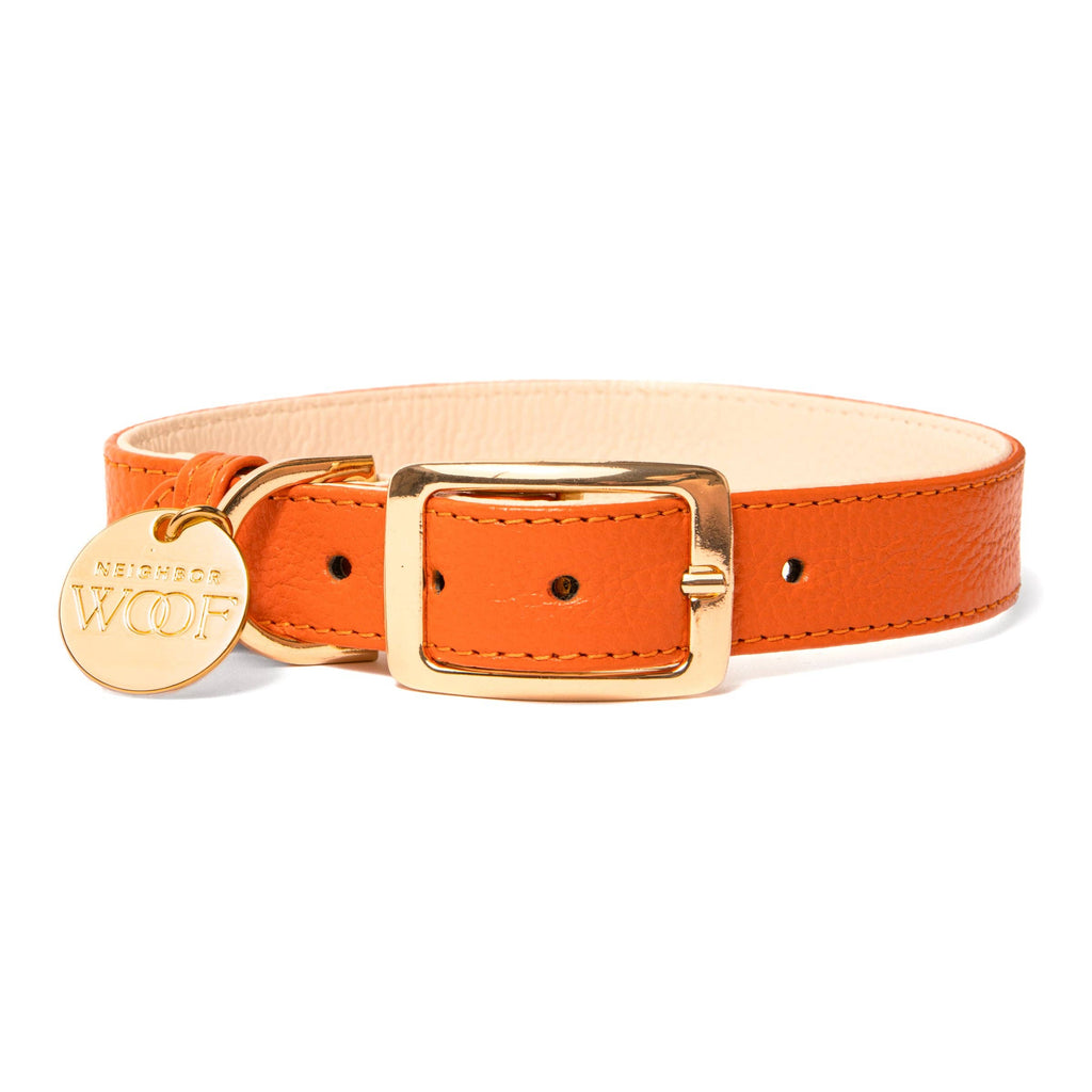 🐾 BOHIO YUKIYU™ Mandarin Luxe Leather Collar – Medium
Vibrant Signature Collection Crafted by our artisan partner