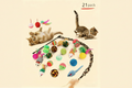 21-Piece Cat Toy Set  – Interactive Play Kit for Happy & Active Cats | Set de Juguetes para Gatos 21 Piezas con Túnel – Diversión Interactiva para Gatos Felices