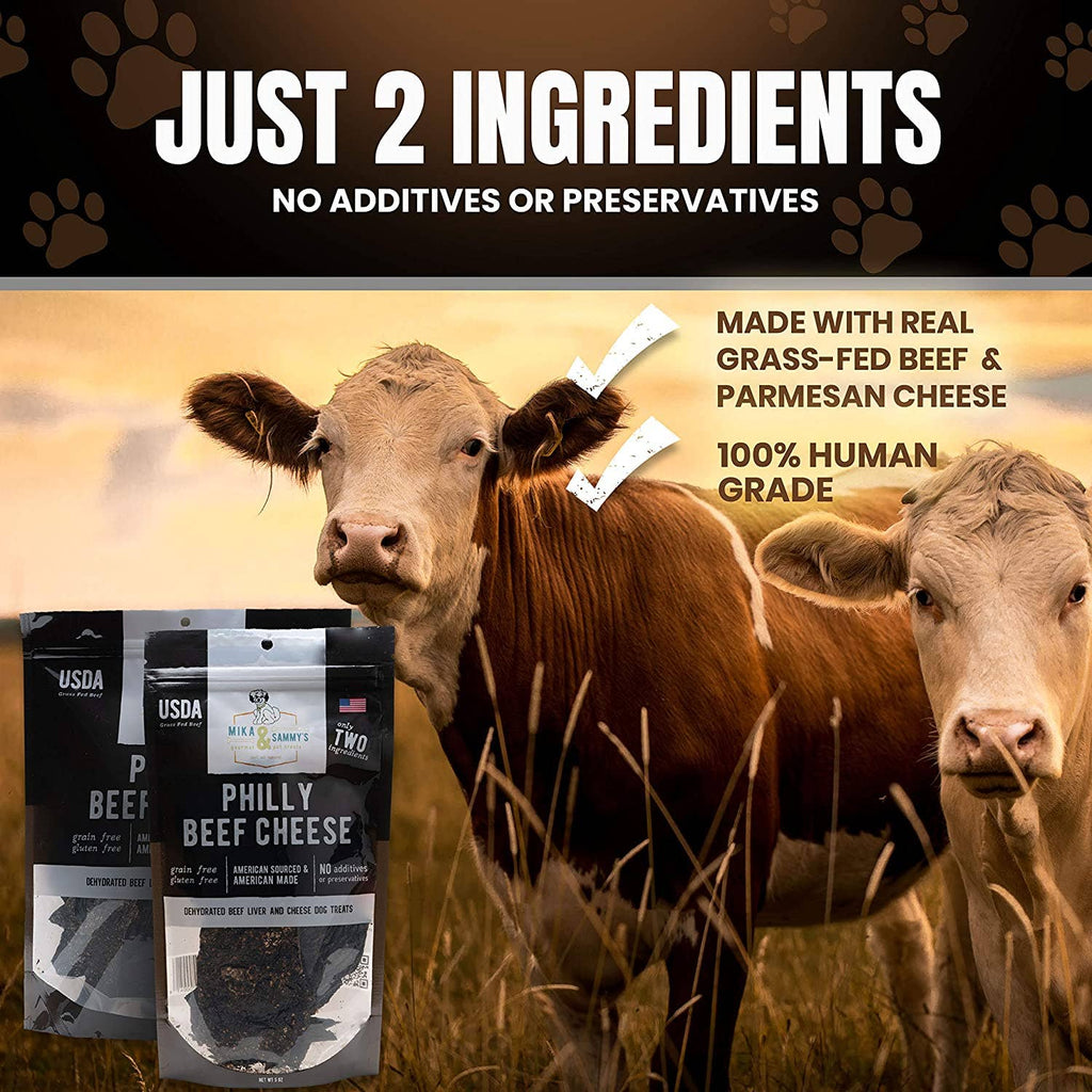 Philly Beef & Cheese Treats (5oz) | Bohío Yukiyu™ Gourmet Snacks