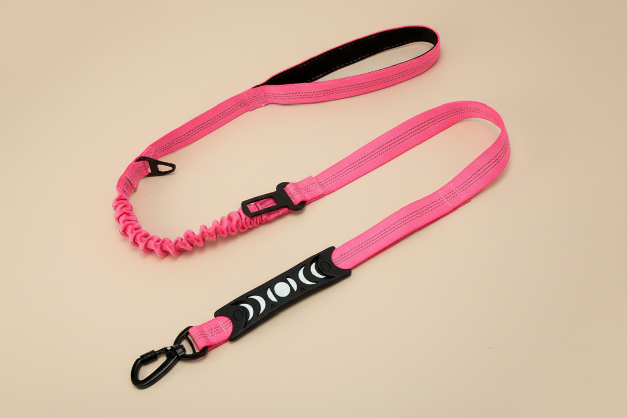 No-Pull Reflective Bungee Dog Leash | Shock-Absorbing Comfort & Control | Correa Antitirones Reflectiva con Bungee | Comodidad y Control con Absorción de Impacto