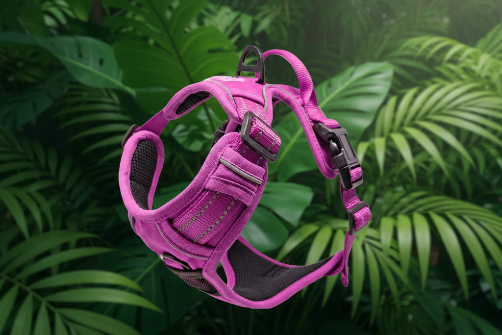 Venture Paw Dog Harness – Wild Raspberry | Comfortable & Durable Pet Harness | Arnés para Perros Venture Paw – Wild Raspberry
