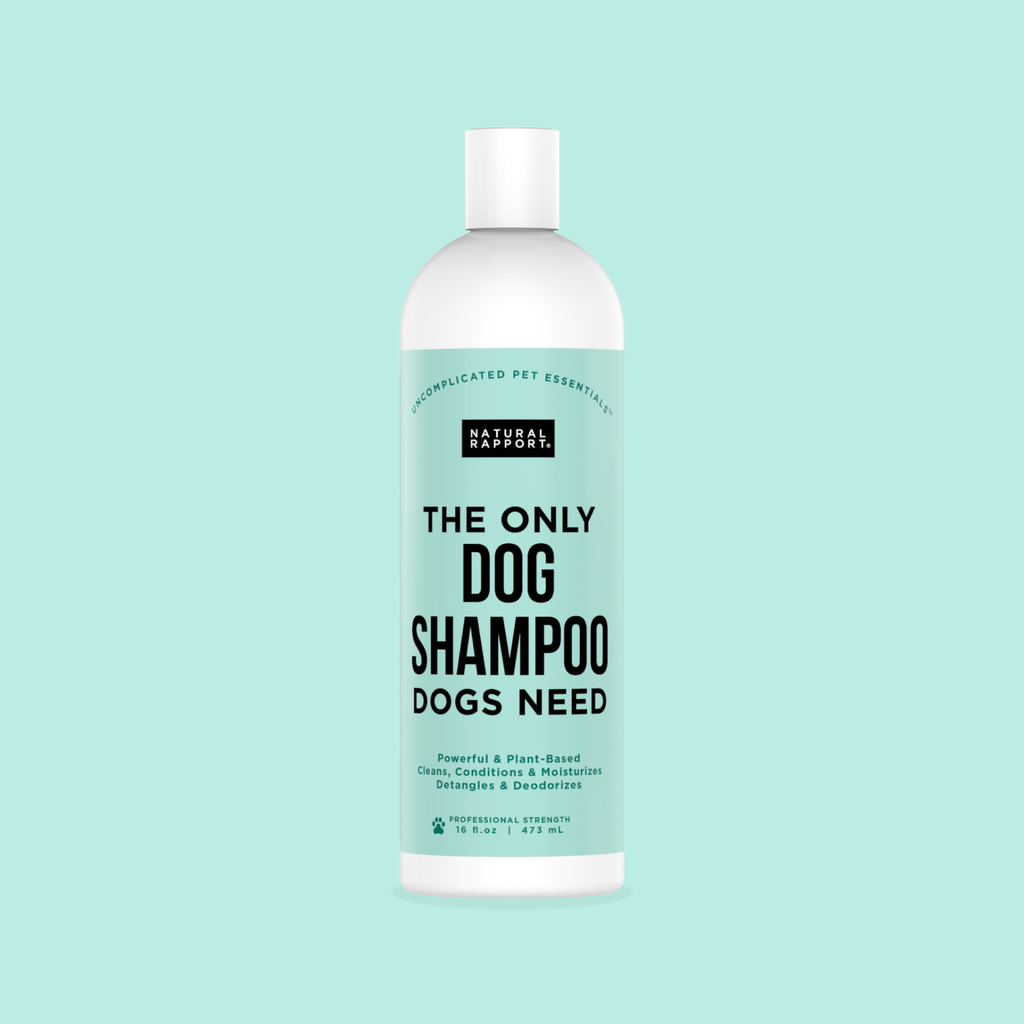 Daily Coat Care Shampoo – Gentle Cleansing (16 oz)/ Shampoo de Cuidado Diario para Pelaje – Limpieza Suave (16 oz)