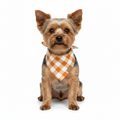 🐾 BOHIO YUKIYU™ Golden Meadow Reversible Bandana – M, L
Wildflower Garden | Sunset Gingham - Crafted by our artisan partner