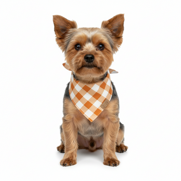🐾 BOHIO YUKIYU™ Golden Meadow Reversible Bandana – M, L
Wildflower Garden | Sunset Gingham - Crafted by our artisan partner