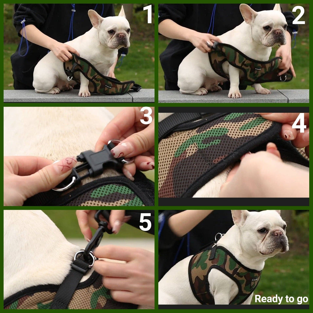 Bohio S,M,L- 🐕 Soft Comfort Dog Harness / Bohio S,M,L - Arnés Soft Comfort para Perros