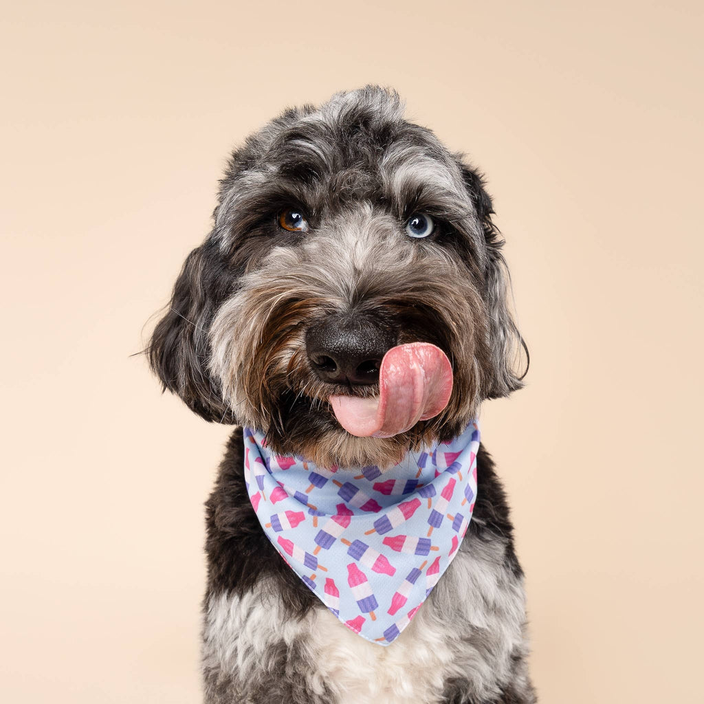 Ice Pop Cooling Dog Bandana 🍧❄️ | Summer Cooling Pet Bandana