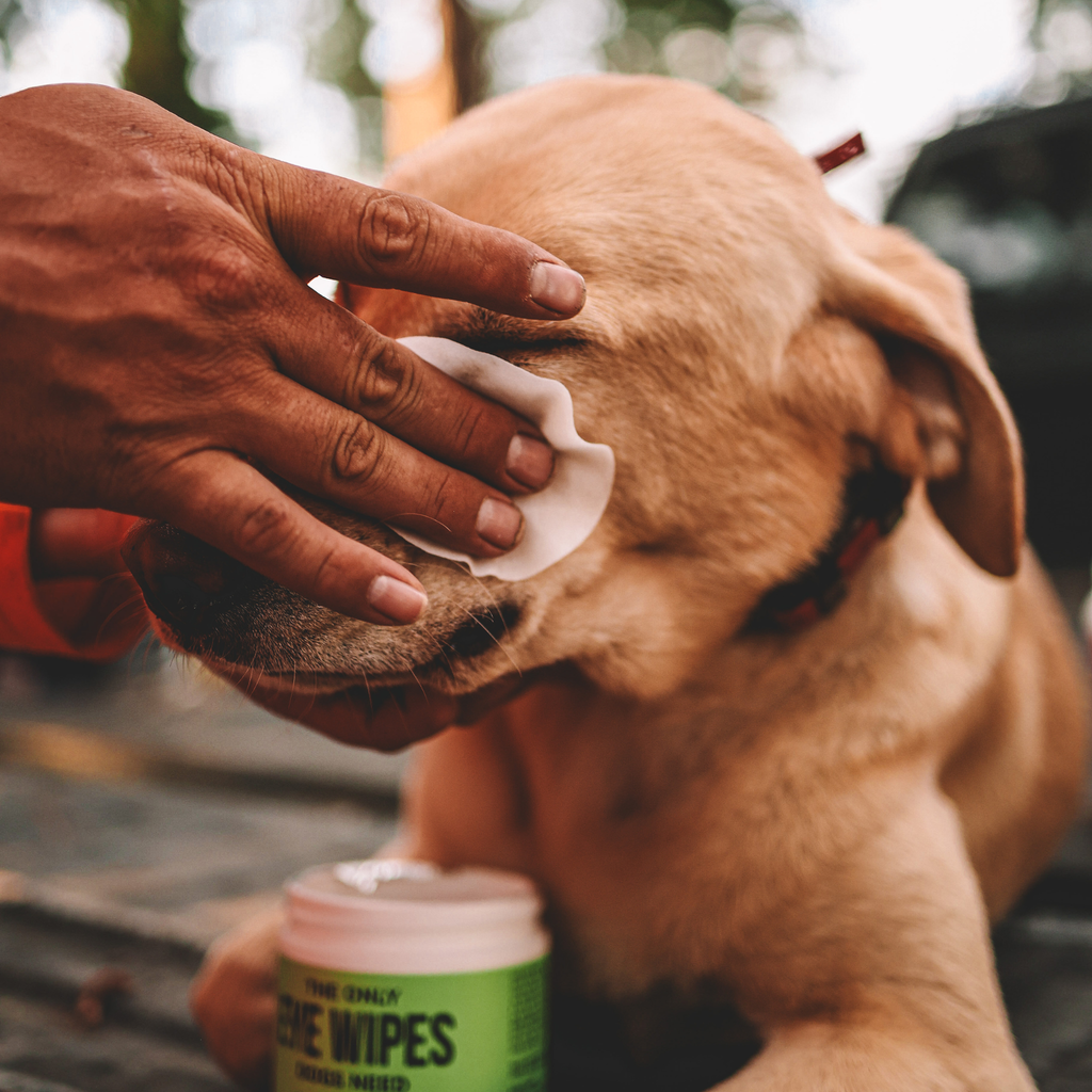 Gentle Eye Cleaning Wipes for Dogs – Tear & Debris Care/ Toallitas Suaves para Limpieza de Ojos – Cuidado Diario