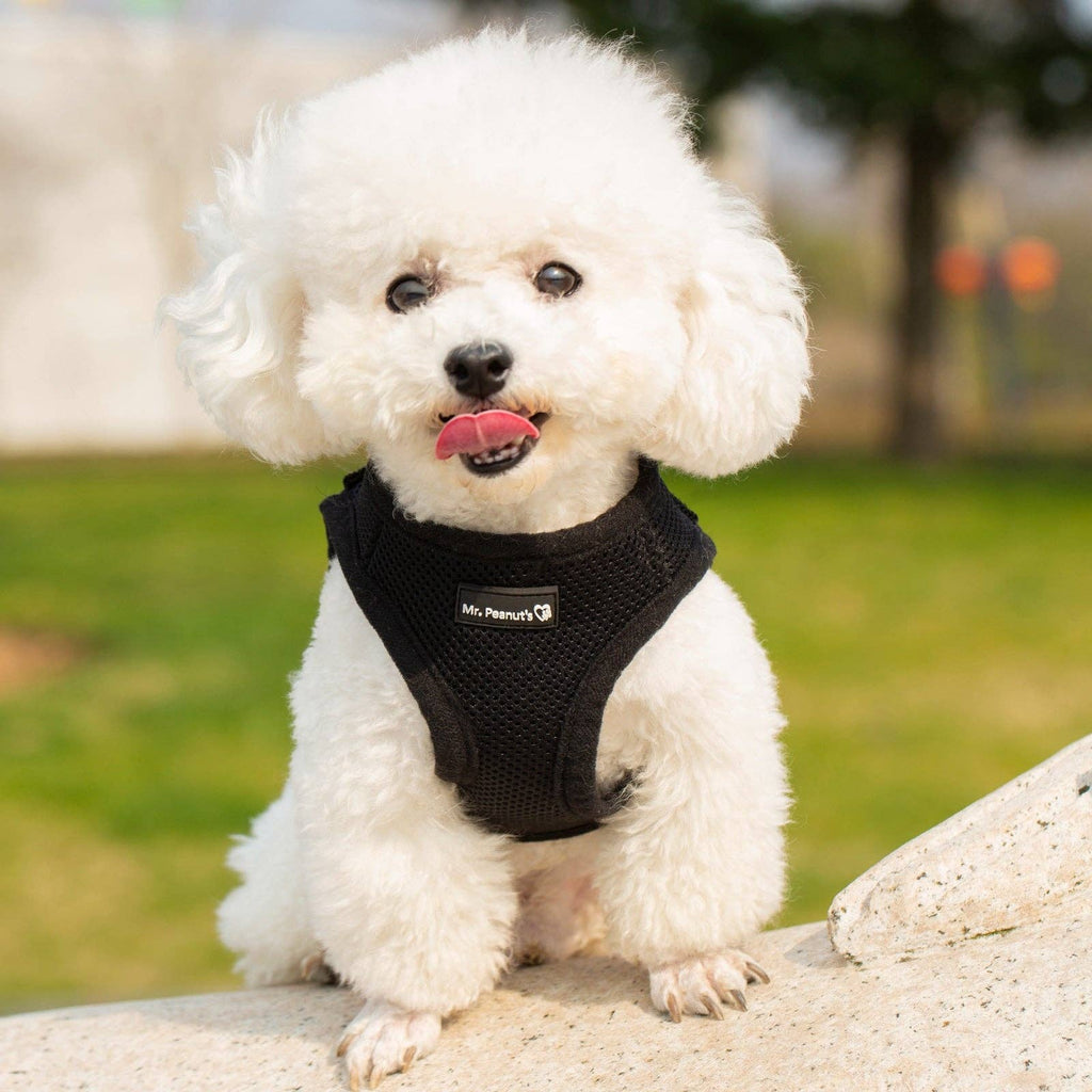 Bohio S,M,L- 🐕 Soft Comfort Dog Harness / Bohio S,M,L - Arnés Soft Comfort para Perros