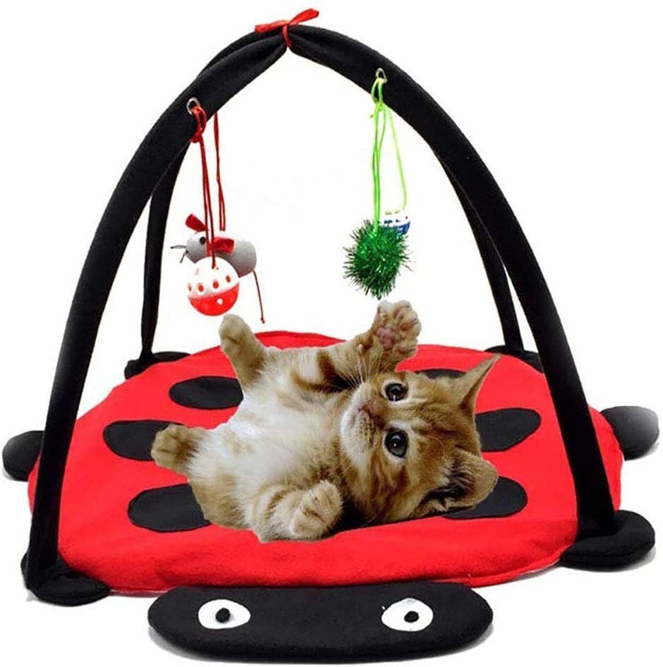 Interactive Cat Play Mat – Fun, Active & Engaging Toy 🐾