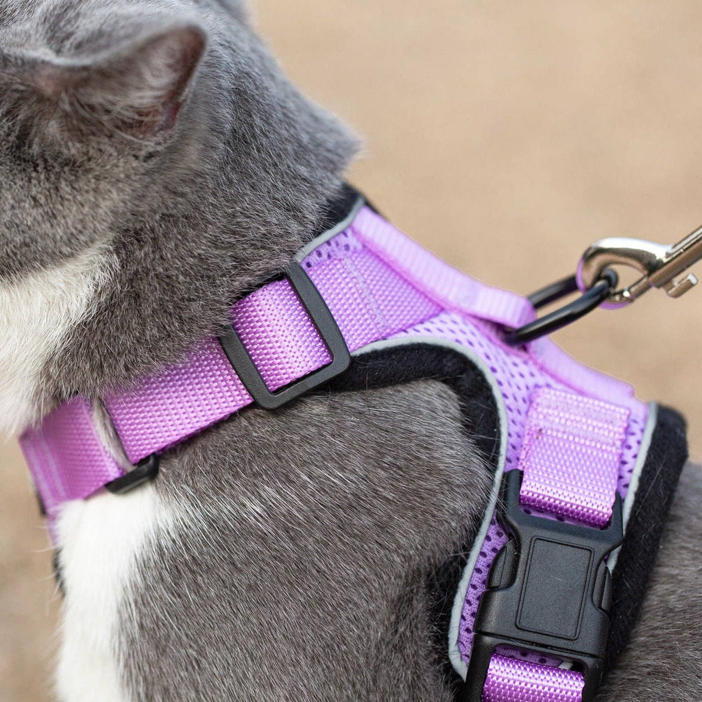 Reflective Cat Harness & Leash Set - Soft, No-Pull, Adjustable, Lilac (Small) / Arnes Reflectivo para Gatos con Correa a juego/Suave, Sin Ahogo, Ajustable - Lila (pequeño)