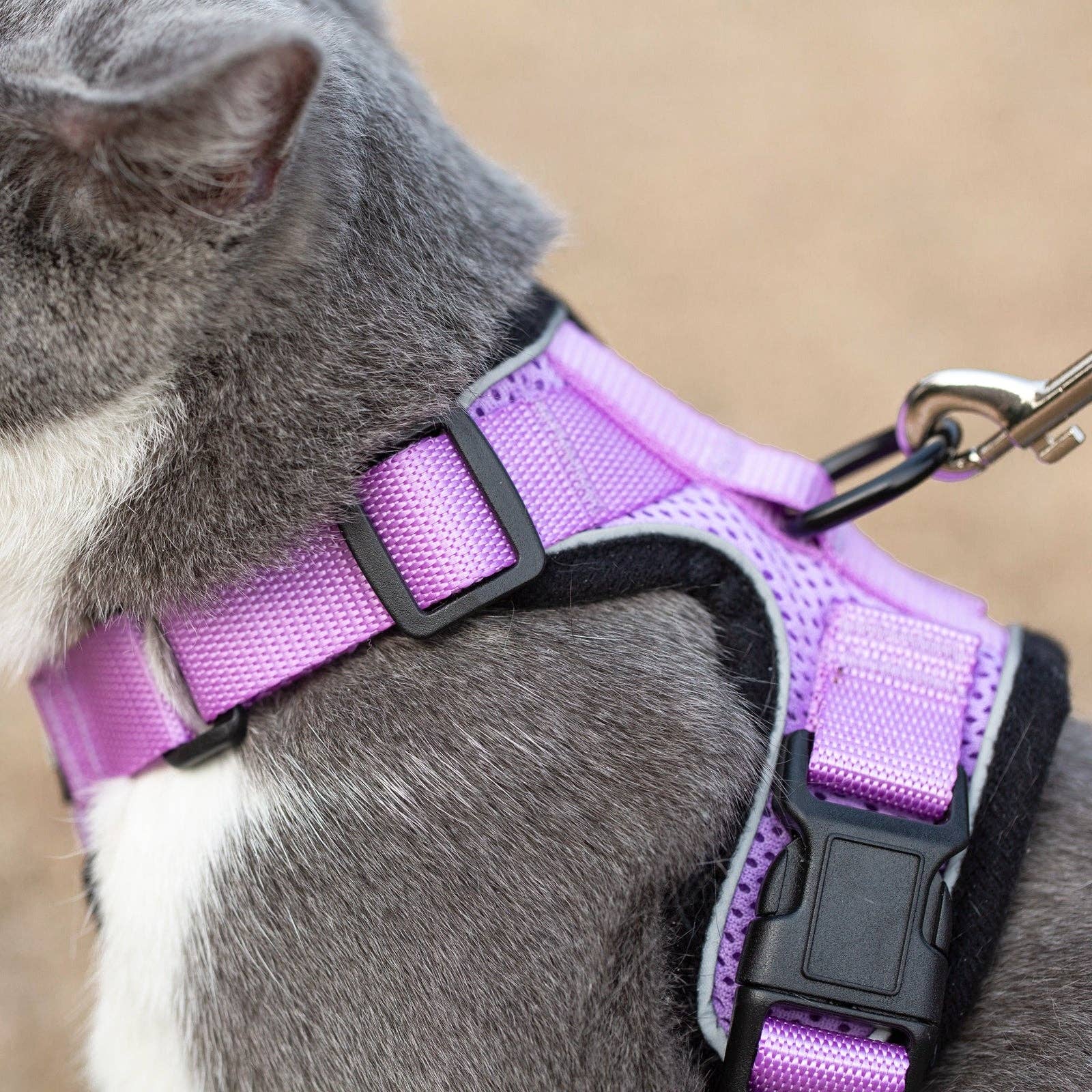 Reflective Cat Harness & Leash Set - Soft, No-Pull, Adjustable, Lilac (Small) / Arnes Reflectivo para Gatos con Correa a juego/Suave, Sin Ahogo, Ajustable - Lila (pequeño)