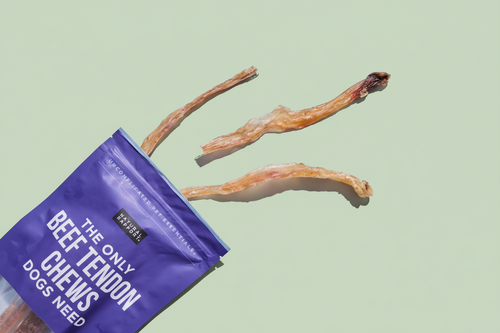 Beef Tendon Chews – Natural Long-Lasting Dog Treat (5 Count)/ Tendones de Res – Premio Natural de Larga Duración (5 Unidades)
