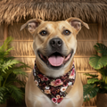 🐾 BOHIO YUKIYU™ Spring Bloom Reversible Bandana – Medium, Large
Floral Garden | Classic Plaid - Crafted by our artisan partner