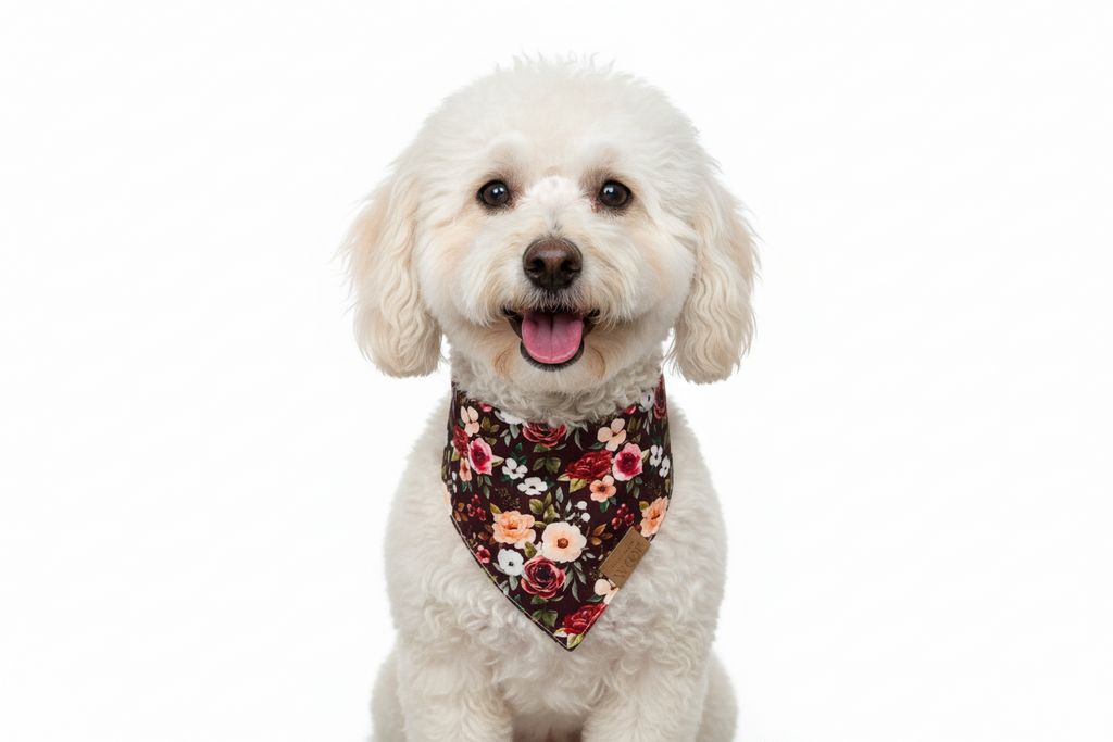 🐾 BOHIO YUKIYU™ Spring Bloom Reversible Bandana – Medium, Large
Floral Garden | Classic Plaid - Crafted by our artisan partner