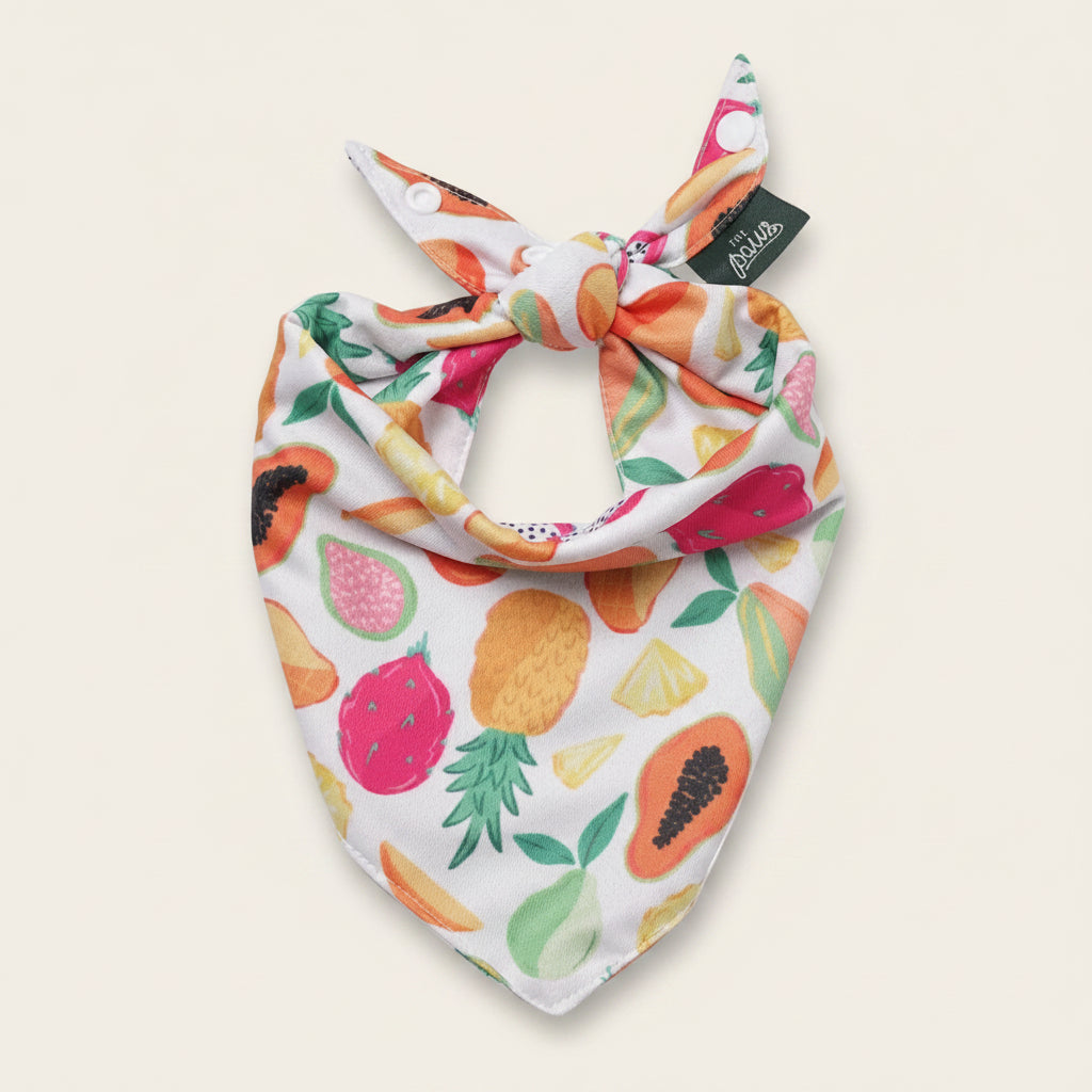 Fruity Cooling Dog Bandana 🍍🍉 | Lightweight Summer Pet Bandana