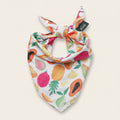 Fruity Cooling Dog Bandana 🍍🍉 | Lightweight Summer Pet Bandana