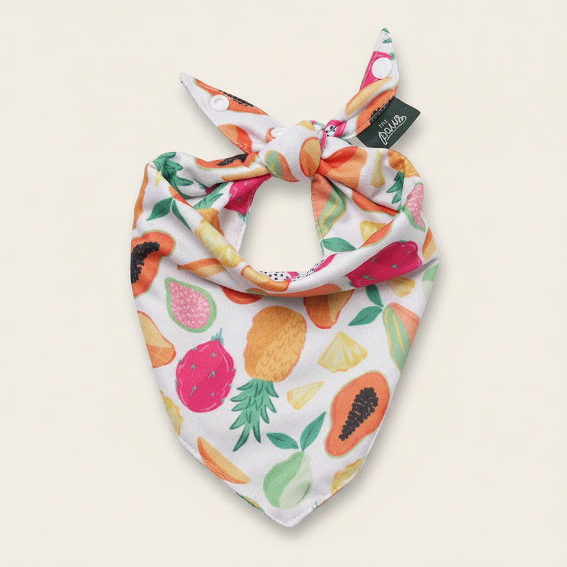 Fruity Cooling Dog Bandana 🍍🍉 | Lightweight Summer Pet Bandana