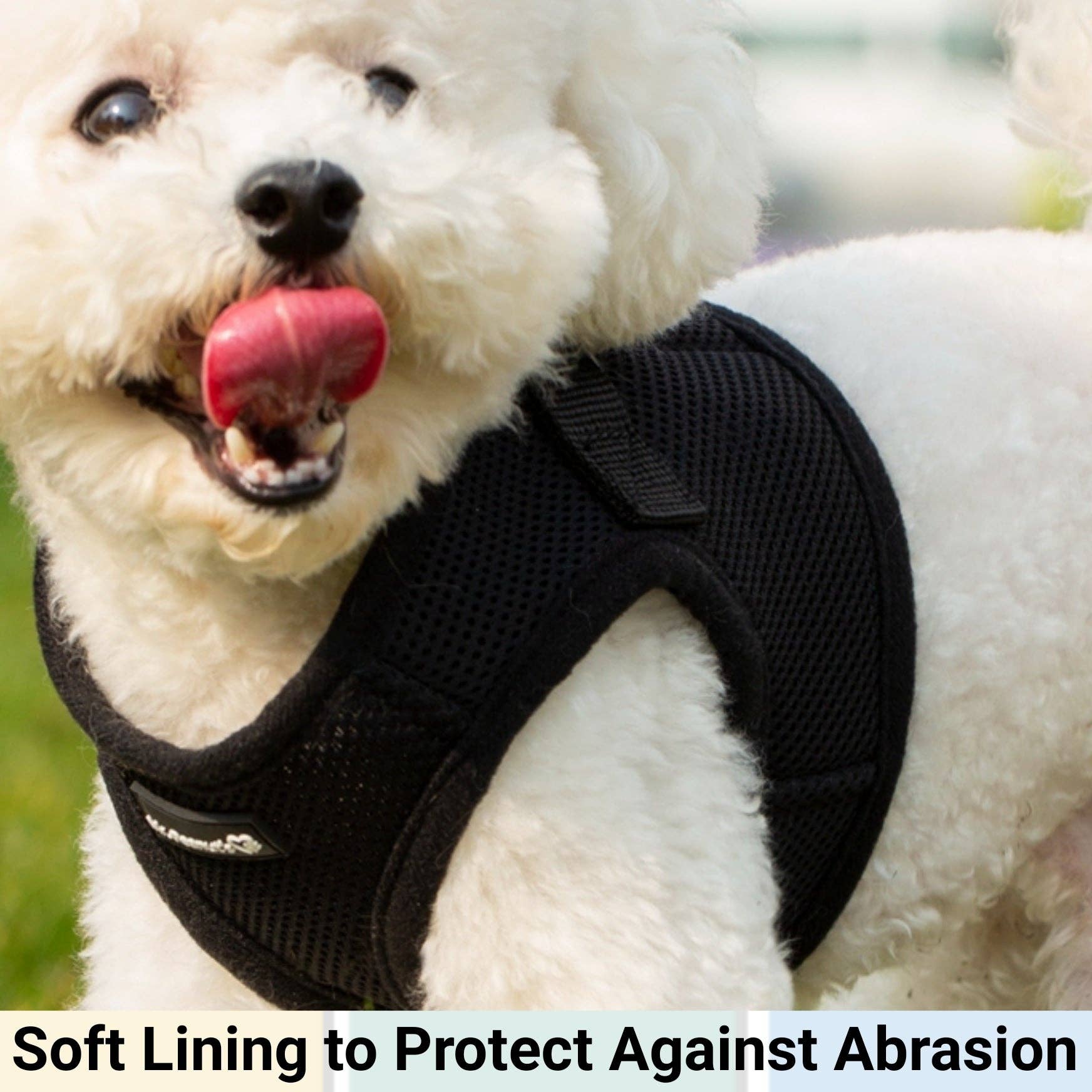 Bohio S,M,L- 🐕 Soft Comfort Dog Harness / Bohio S,M,L - Arnés Soft Comfort para Perros