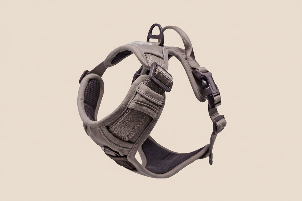 Venture Paw Dog Harness – Dried Sage | Comfortable & Adjustable Fit