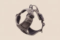 Venture Paw Dog Harness – Dried Sage | Comfortable & Adjustable Fit