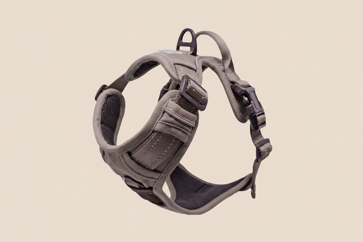 Venture Paw Dog Harness – Dried Sage | Comfortable & Adjustable Fit