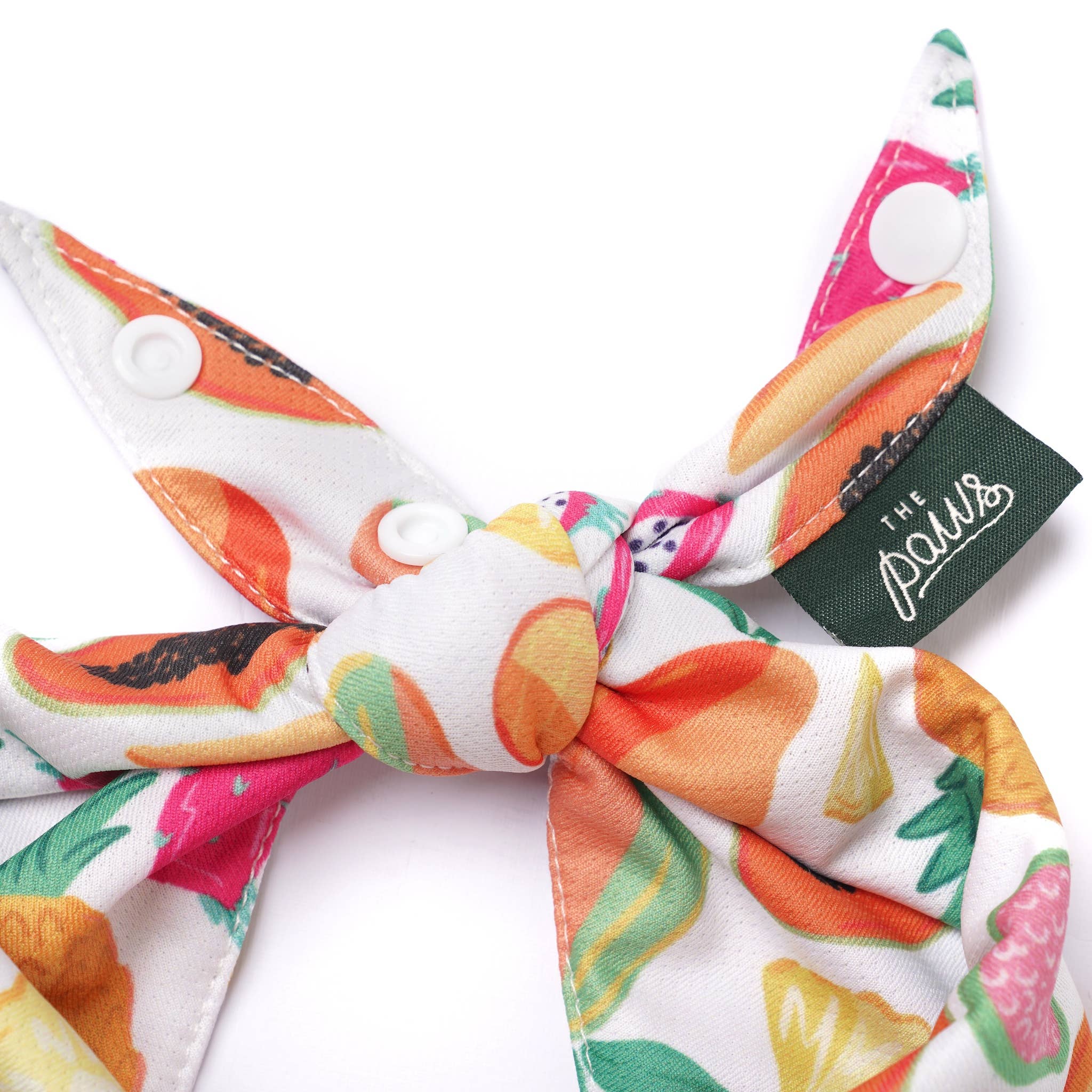 Fruity Cooling Dog Bandana 🍍🍉 | Lightweight Summer Pet Bandana