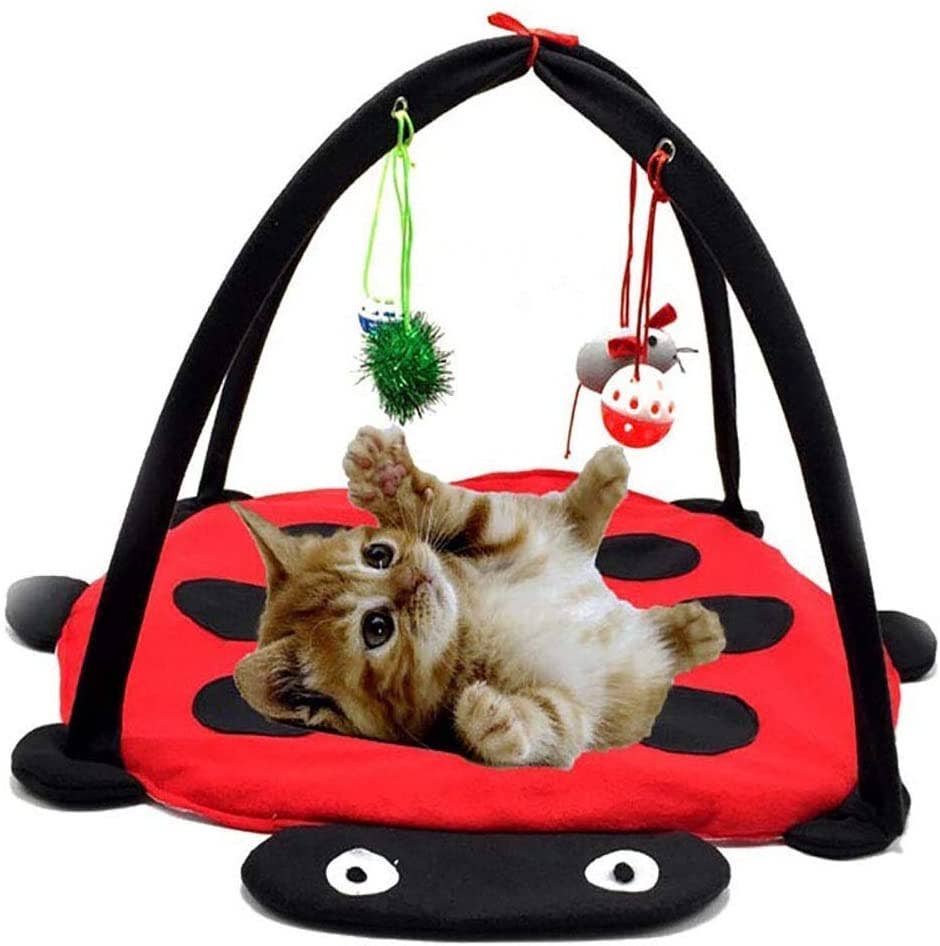Interactive Cat Play Mat – Fun, Active & Engaging Toy 🐾