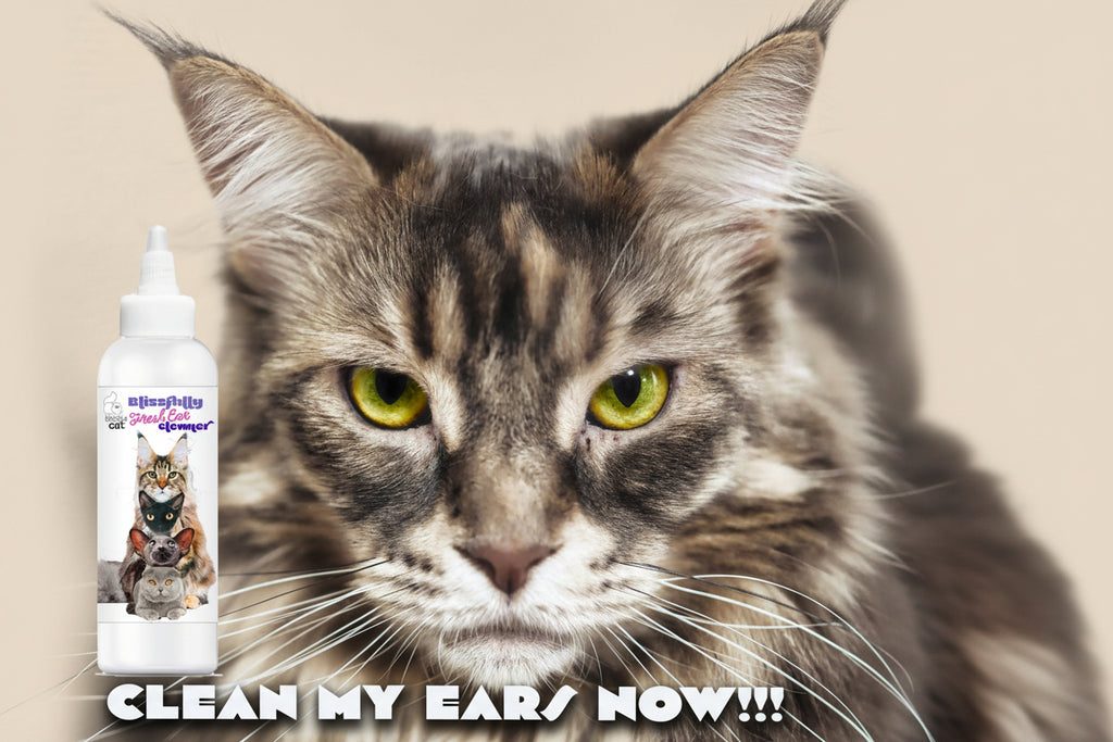 Cat Ear Cleaner – Removes Wax, Odor & Dirt (Fresh & Gentle)