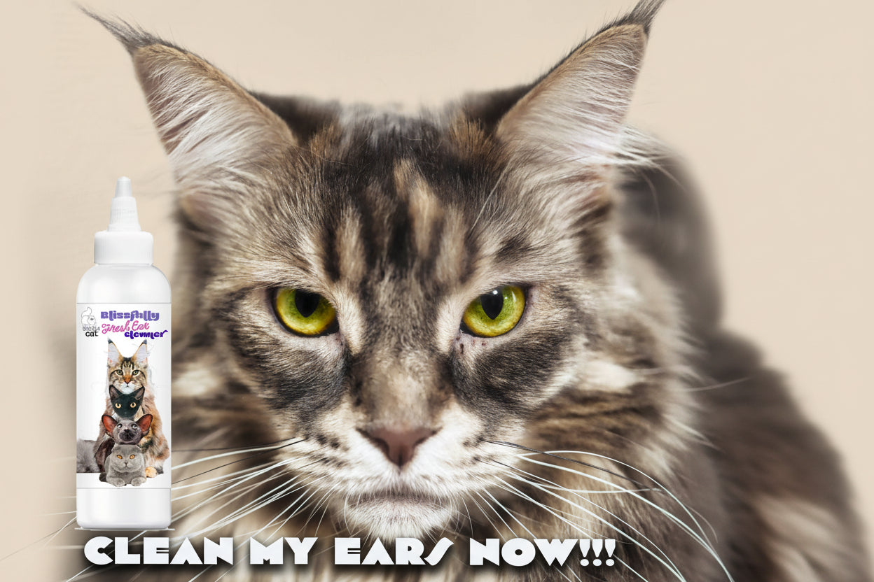Cat Ear Cleaner – Removes Wax, Odor & Dirt (Fresh & Gentle)