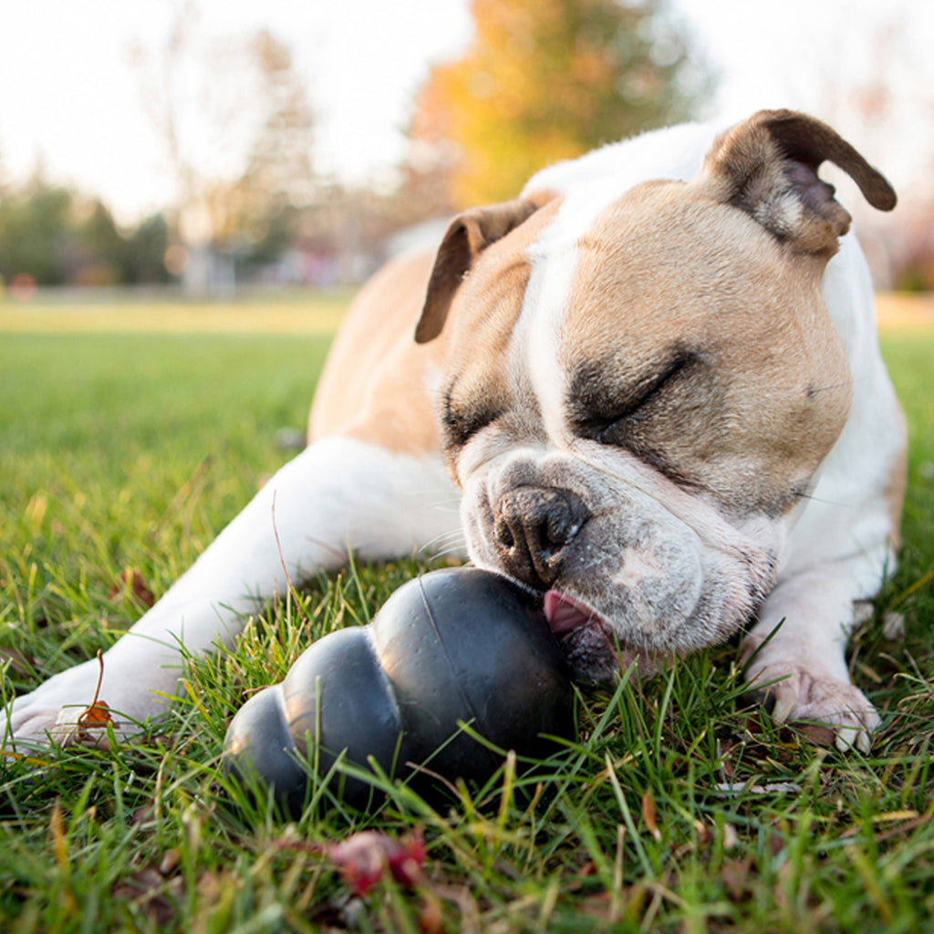 KONG® Extreme Dog Chew/KONG® Extreme Juguete Resistente para Perros