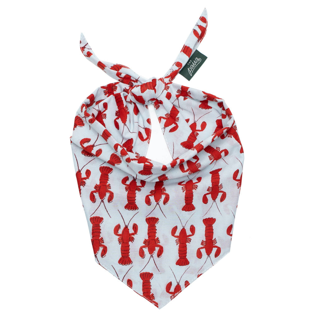 Coastal Lobster Dog Bandana 🦞 | Nautical Summer Pet Bandana