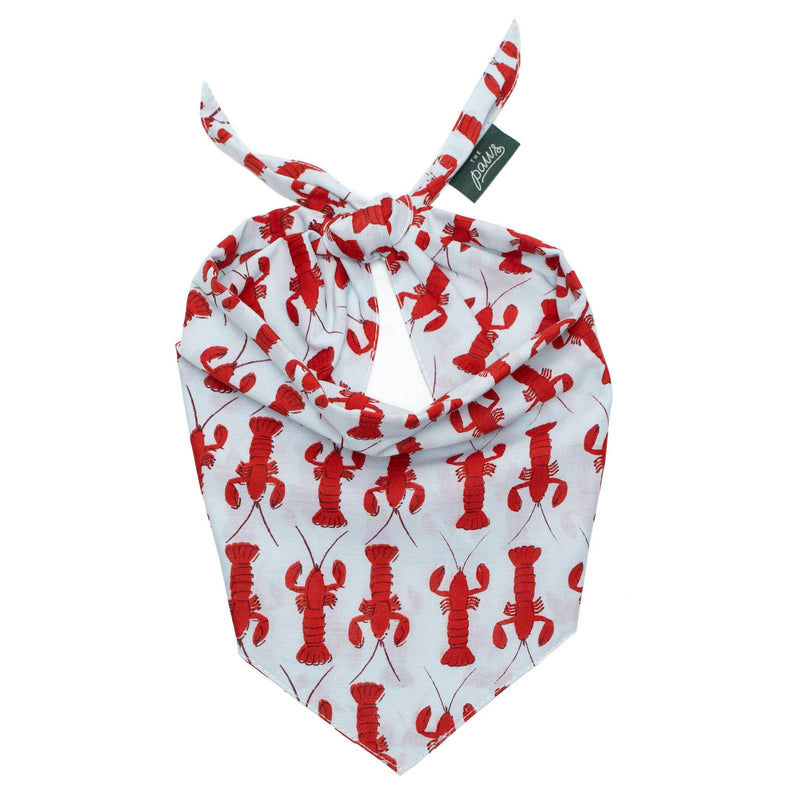 Coastal Lobster Dog Bandana 🦞 | Nautical Summer Pet Bandana