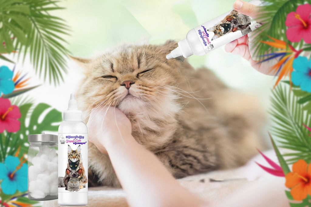 Cat Ear Cleaner – Removes Wax, Odor & Dirt (Fresh & Gentle)