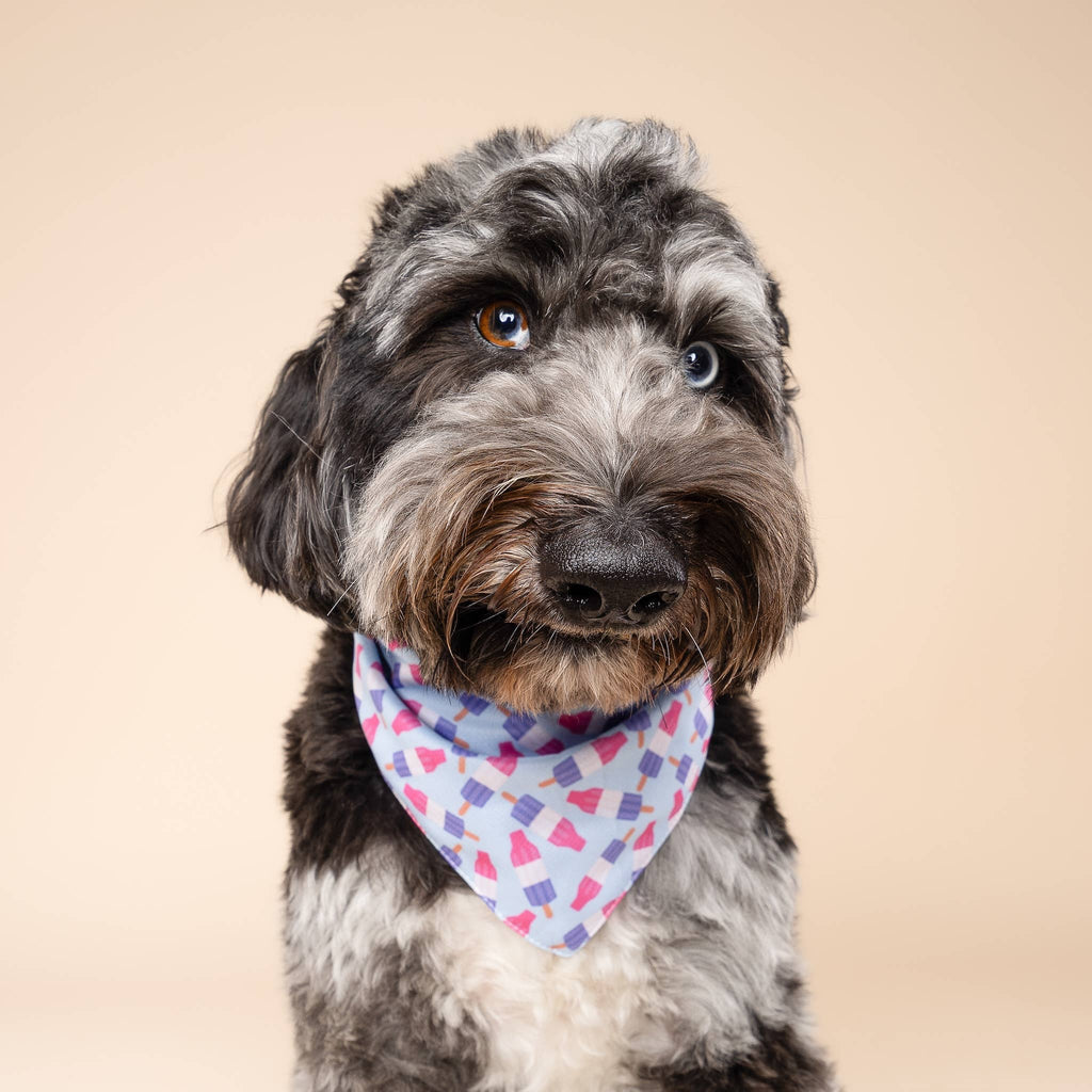 Ice Pop Cooling Dog Bandana 🍧❄️ | Summer Cooling Pet Bandana