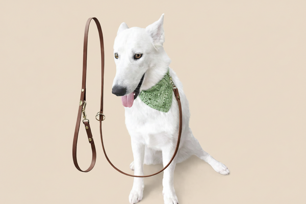 Bohio Yukiyu Convertible Hands-Free Dog Leash – Waterproof Biothane Lead (6 ft)