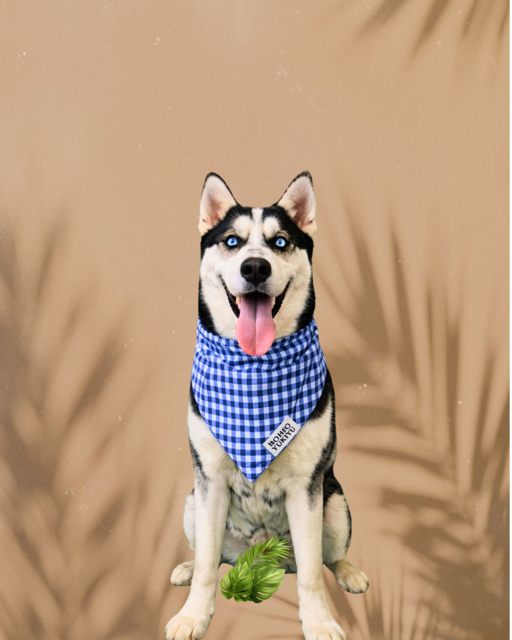 Bohío Yukiyu™ Tropical Pet Bandana – Soft, Stylish & Everyday Comfort | Bandana Bohío Yukiyu™ Tropical para Mascotas – Suave, Cómoda y con Estilo